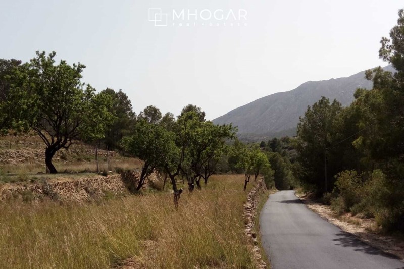 Parcela con vistas a la montaña Sierra de Bernia!